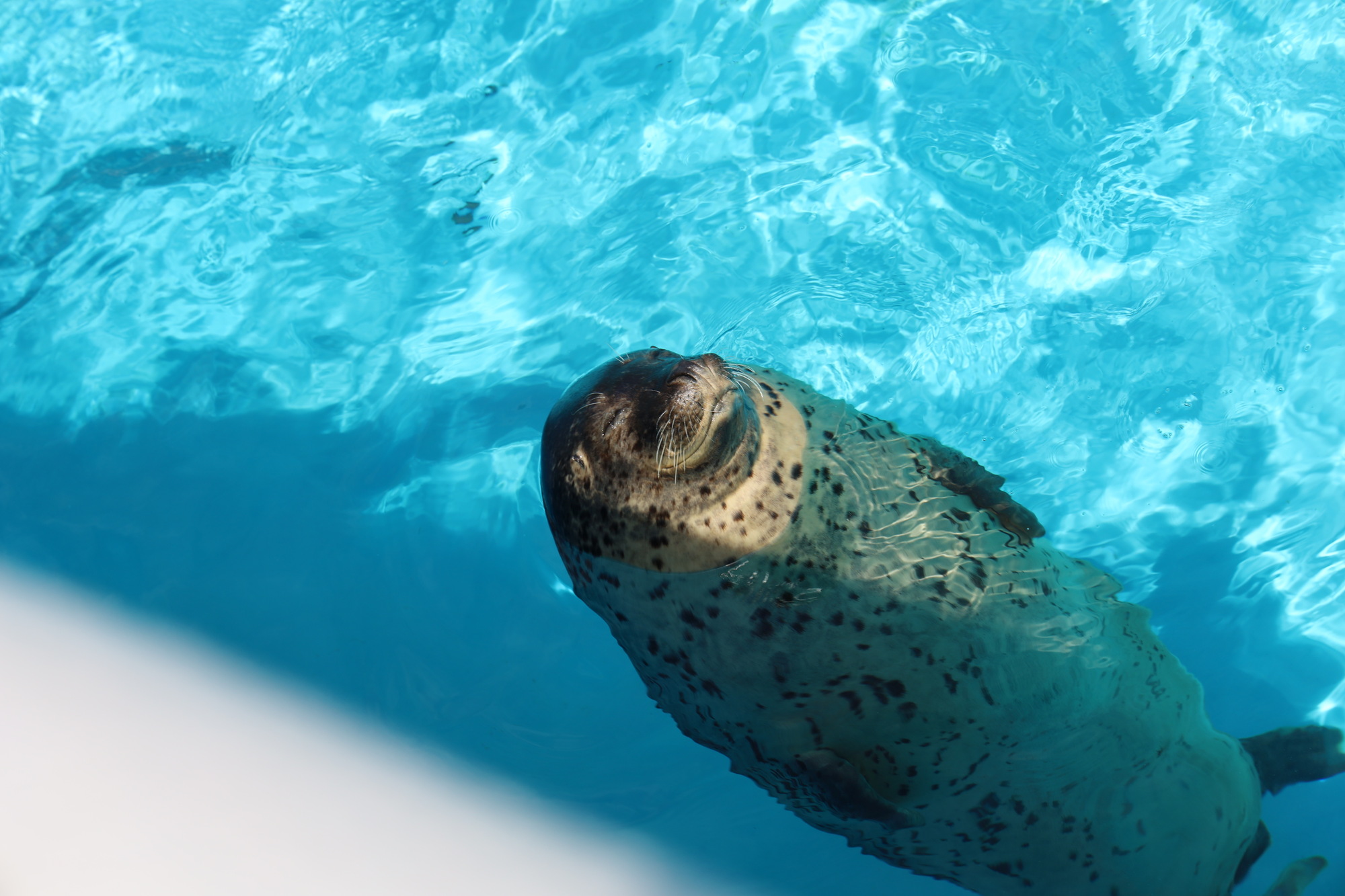 【2026年1月の1枚】