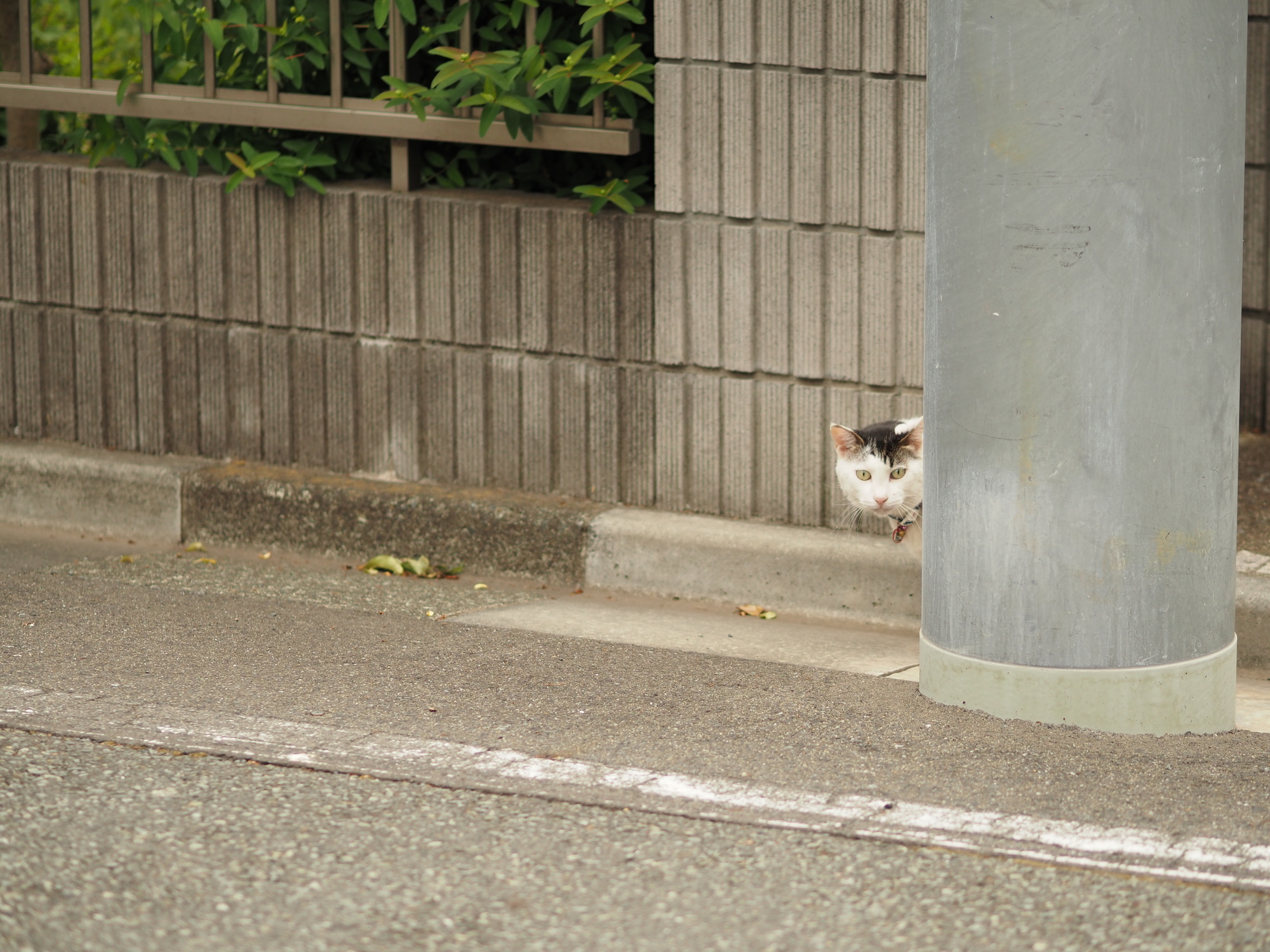 【2026年2月の1枚】